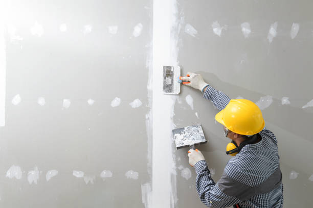 Best Emergency Mold Remediation  in Shady Cove, OR