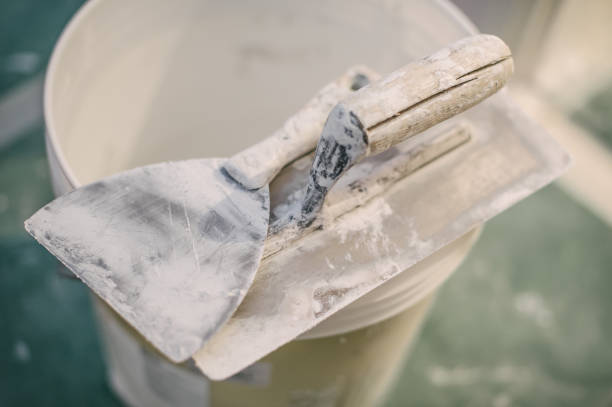 Best Black Mold Removal  in Shady Cove, OR